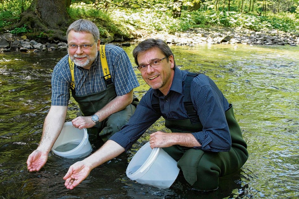Sachsens ehemaliger Umweltminister Frank Kupfer (re.) und Dr. Gert Füllner (Fischatlas-Mitautor) beim Einsetzen von Lachs im Jahr 2011. Der Fisch gilt nach wie vor als „vom Aussterben bedroht“. Foto: Archiv