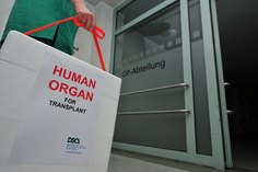Im vergangenen Jahr haben in Deutschland  965 Menschen nach ihrem Tod ein oder mehrere Organe gespendet.