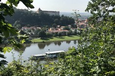 Entlang des Sächsischen Weinwanderweges mit Blick auf Pirna.  Foto: Claudia Rimek-Isaack