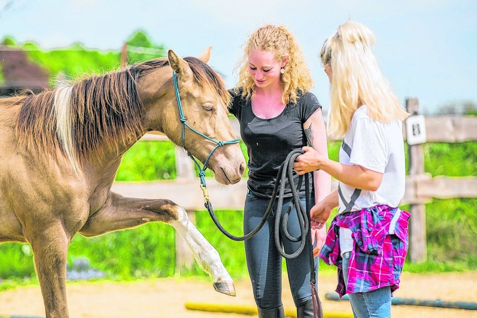 Jessica Hübner (18) hilft als Tierkommunikatorin und Pferdeosteopathin beim „Dolmetschen“ zwischen Pferd und Reiterin.
