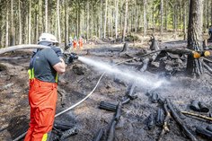 Die Feuerwehr bei Löscharbeiten des Waldbrandes bei Hohnstein (2. April).