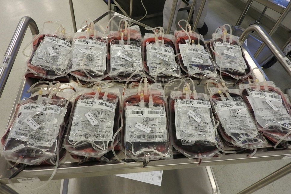 Wer sich als Stammzellenspender typisieren lassen möchte, dem werden lediglich 6 ml Blut abgenommen. Foto: Archiv