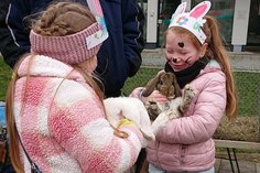 Mit einer bunten Eiersuche, dem rosa GuWo-Hasen und kuschligen Fellnasen zum Anfassen hält der Ostersamstag einige Überraschungen für Gubener Familien bereit.