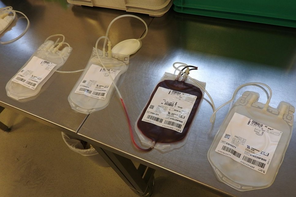 Aus einer Spende werden drei Konserven in Form von Plasma, roten Blutkörperchen in Nährlösung und Thrombozyten.