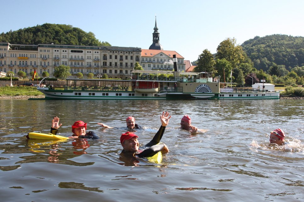 Elbeschwimmer in Bad Schandau vor dem Elbkai.  Foto: D. Förster