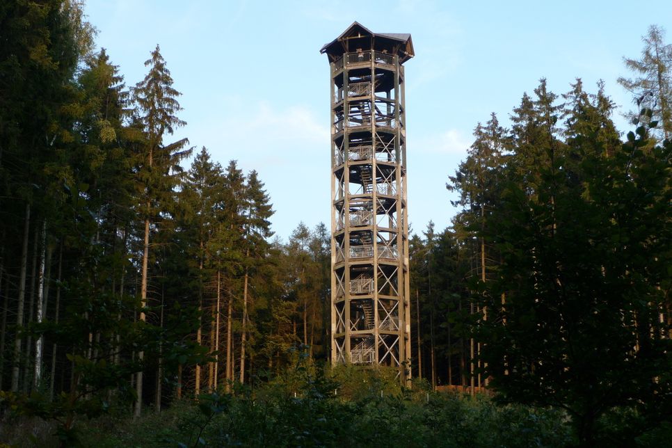 Der Weifbergturm in Hinterhermsdorf.  Foto: DE. Förster