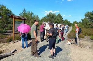Neuer Naturerlebnispfad im Wildnisgebiet Lieberose eröffnet | Foto: Stiftung Naturlandschaften Brandenburg