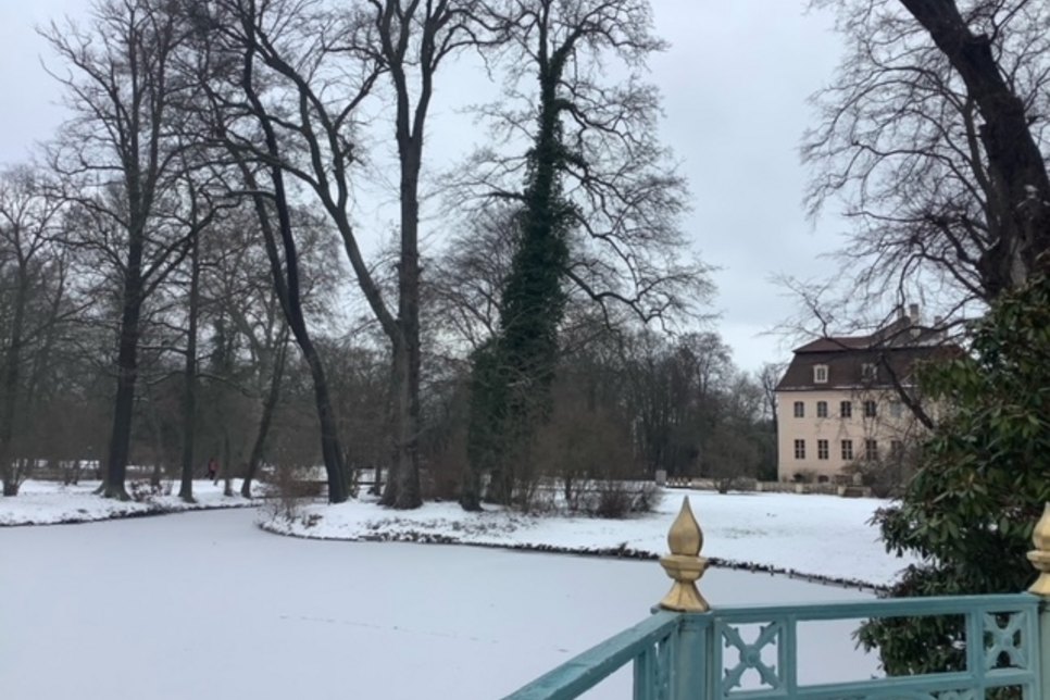 Winterlicher Blick auf das Schloss Branitz. Foto: Kayser