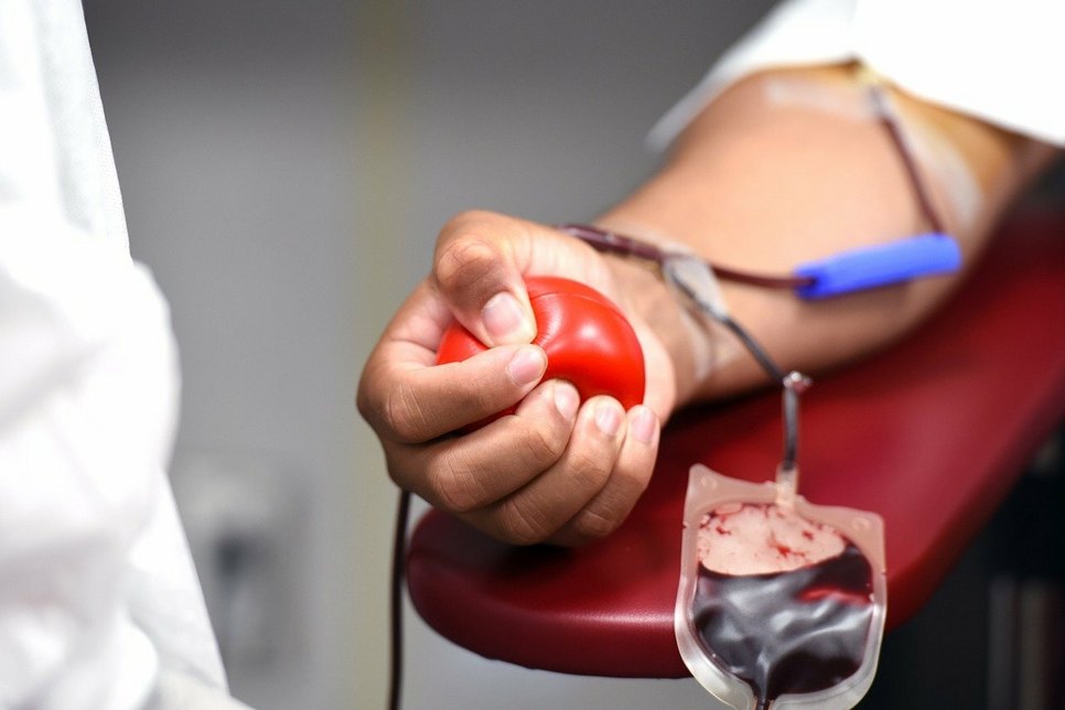 Am 10. Septmber findet eine Blutspendeaktion in der Theodor-Fontane-Schule Cottbus statt. Foto: pixabay