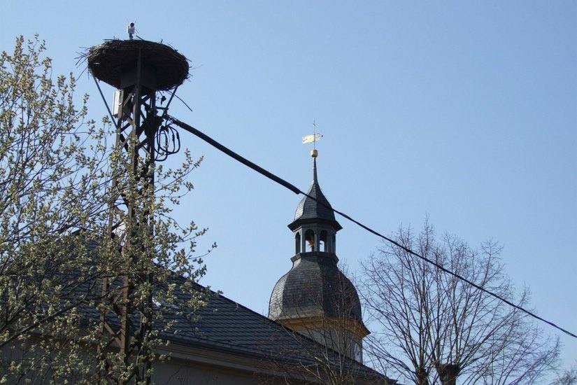 Im Ottendorfer Ortsteil Grünberg hofft man auf die Rückkehr des Storchenpaares. Der im Ortszentrum gelegene Storchenhorst ist in diesen Tagen wieder Anlaufpunkt für zahlreiche Wanderer.