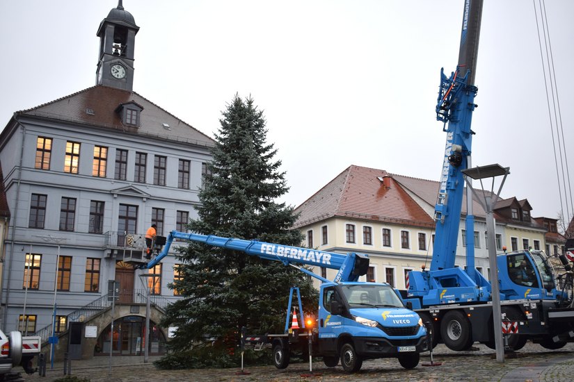 Am Morgen des 21. Novembers haben Mitarbeiter des Bauhofes den Baum angeliefert und aufgestellt.