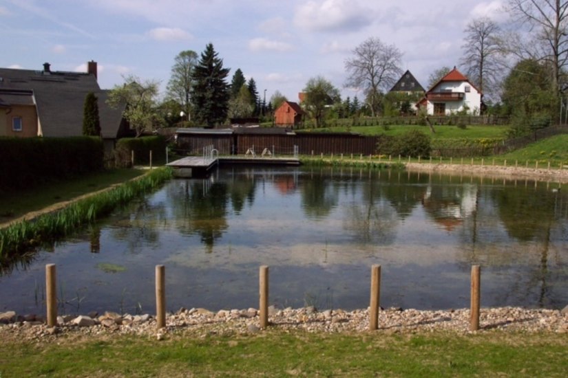 Der idyllische Badeteich in Hinterhermsdorf wird nicht nur von Einheimischen gern besucht.       Foto: SV
