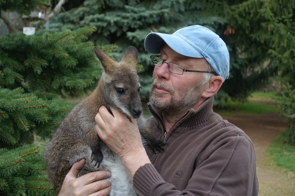 Ziemlich beste Freunde: Tierparkchef Heiko Drechsler und Känguru Gertrud. Foto: Schramm
