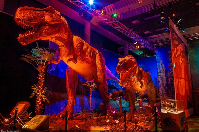 Tyrannosaurus Rex & Co. kommen ins Areal Zeitenströmung. Foto: SC Exhibitions