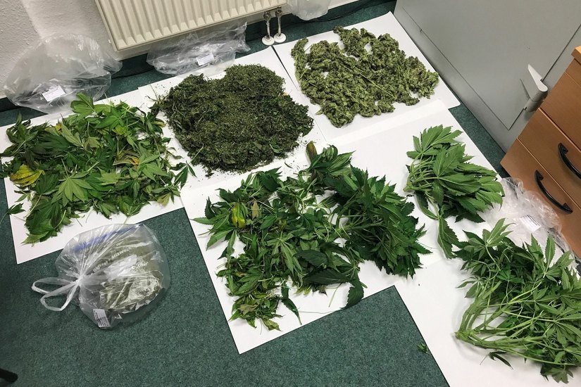 In der durchsuchten Wohnung fanden die Polizisten eine groß angelegte Marihuanazucht. Fotos: Polizei