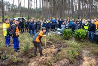 Nachhaltige Aktion in Südbrandenburg: Rund 260 Auszubildende der enviaM-Gruppe aus Brandenburg, Sachsen-Anhalt und Sachsen haben im Falkenberger Stadtwald 15.000 Bäume gepflanzt.  Foto: pm