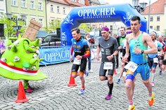 Beim Lausitzer Blütenlauf kommen auch die Laufsportfreunde auf ihre Kosten. KAMI, das Stadtmaskottchen (l.) von Kamenz feuert die Läufer an. Foto: PR Stadtverwaltung Kamenz
