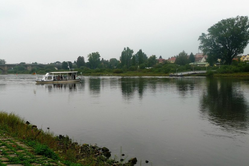 Die Elbe bei Pirna mit Fähre und Überfahrt nach Copitz. Foto: fi