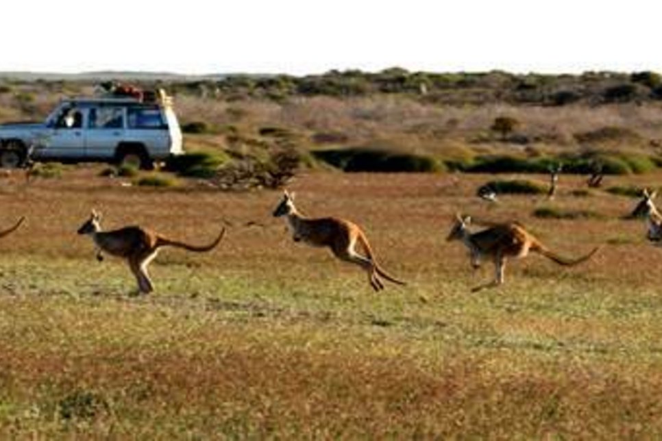 Familie Drecoll reiste auf 20000 Kilometern durch Bundesstaat Western-Australia. Fotos: PR/ Drecoll
