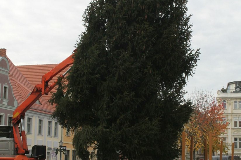 In der vergangenen Woche wurde auf dem Altmarkt der Weihnachtsbaum aufgestellt. Und auch die Innenstadt wird beleuchtet, um so wenigstens ein wenig weihnachtliche Atmosphäre zu schaffen. Foto: privat