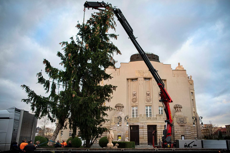 Vor dem Großen Haus des Staatstheaters Cottbus wird der Weihnachtsbaum aufgestellt. Foto: Marlies Kross