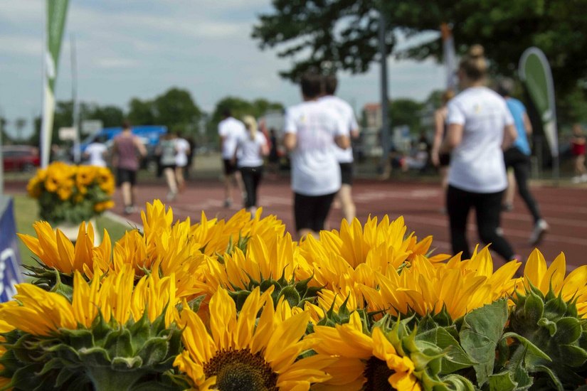 Beim Sonnenblumenlauf sportlich betätigen und dabei noch etwas für den guten Zweck tun.