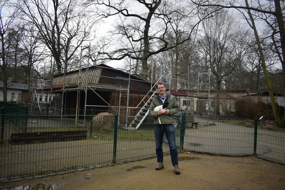 Tierparkdirektor Dr. Jens Kämmerling vor der Baustelle am Schweinestall. Hier soll ein Stallgang entstehen, der es den Besuchern ermöglicht die Tiere im Stall zu beobachten. Foto: asl