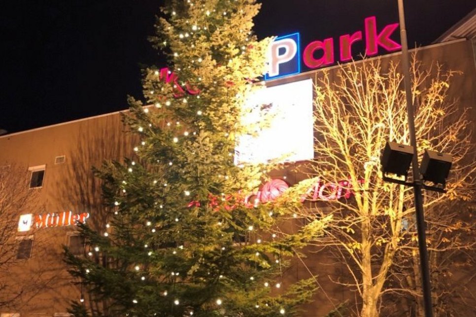 Auch in diesem Jahr soll wieder ein großer Weihnachtsbaum vor dem KaufPark Nickern für Adventsstimmung sorgen.