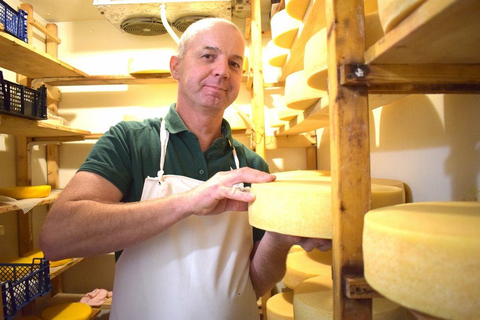 Bernd Vetter und seine drei Beschäftigten kümmern sich um die hochwertige Käseherstellung in Wehrsdorf. Auf dem Bild ist die würzige Käsesorte der »Alte Wehrsdorfer« zu sehen, der mindestens drei Monate reifen muss.
