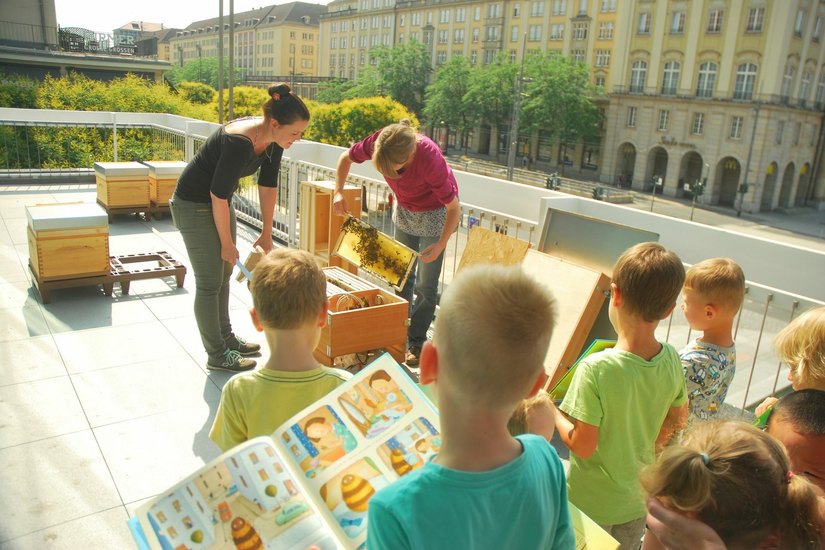 Für Kinder gibt es in der Zentralbibliothek rund 30 Bücher, die sich mit dem Thema Bienen befassen. Fotos: Schiller