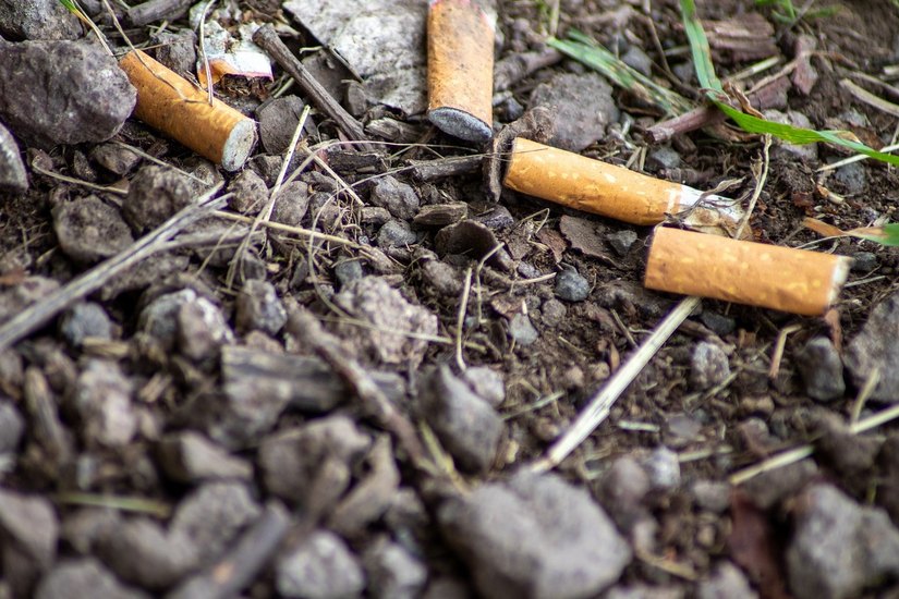 Überall in Dresden findet man weggeworfene Zigarettenkippen.  Foto: Pixabay