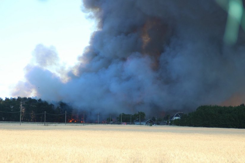 In nur wenigen Minuten stand das Waldstück bei Saxdorf unter Flammen. Fotos: Heiko Lübeck