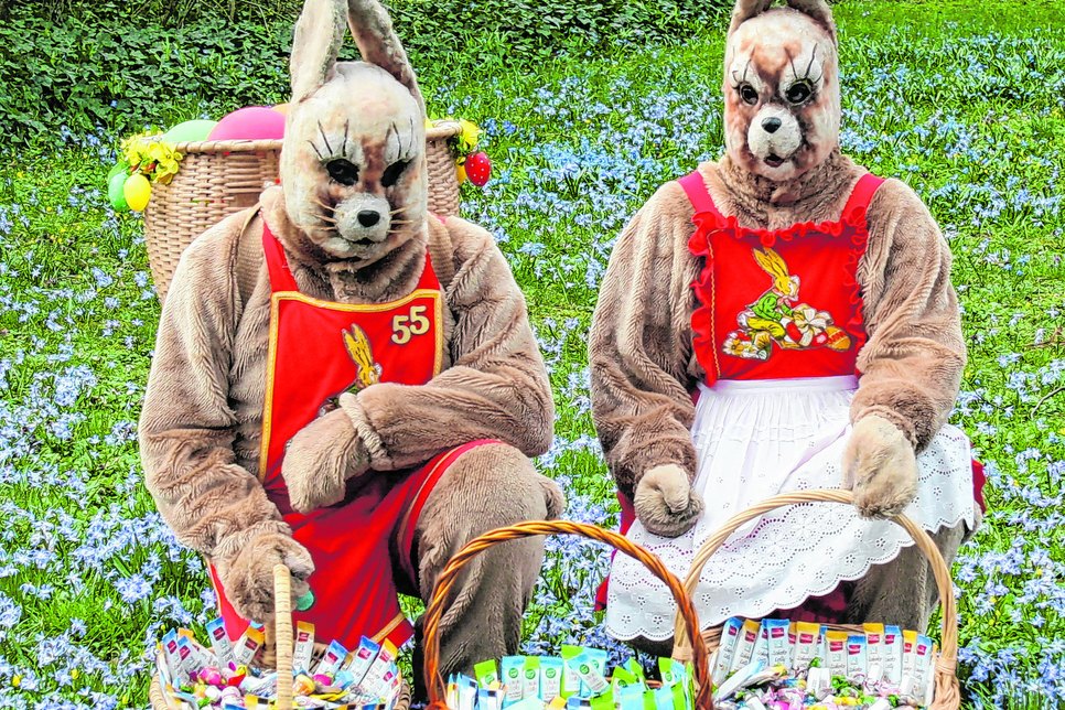 Die Osterhäsin aus Hirschfeld feiert in diesem Jahr 35. »Dienstjubiläum«.  Foto:privat