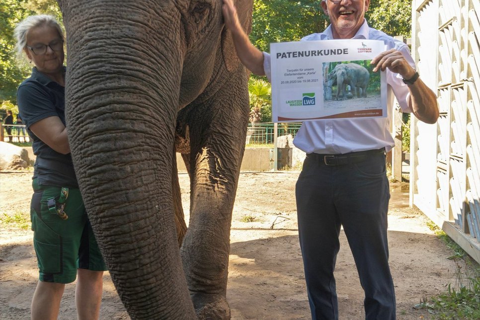 Seit kurzem ist die LWG Pate für die Elefantendame Karla im Cottbuser Tierpark, sehr zur Freude von Geschäftsführer Jens Meier-Klodt. Foto: LWG