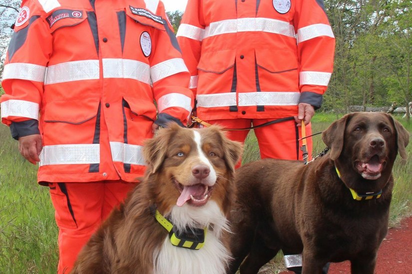 Birgit Husemann (re.) mit ihrem Labrador Milow und Nadine Radschikowsky (li.) mit ihrem Australian Shepherd Piper. Beide Rettungshunde tragen zwei von den neuen GPS-Funk-Halsbändern. Fotos: sts