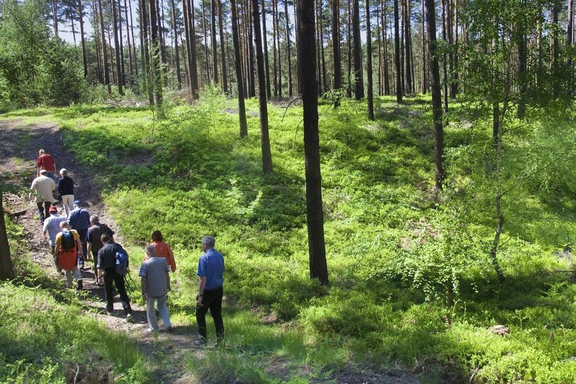 Wanderer im Unesco Geoparks Muskauer Faltenbogen. Foto: Weisflog/PR
