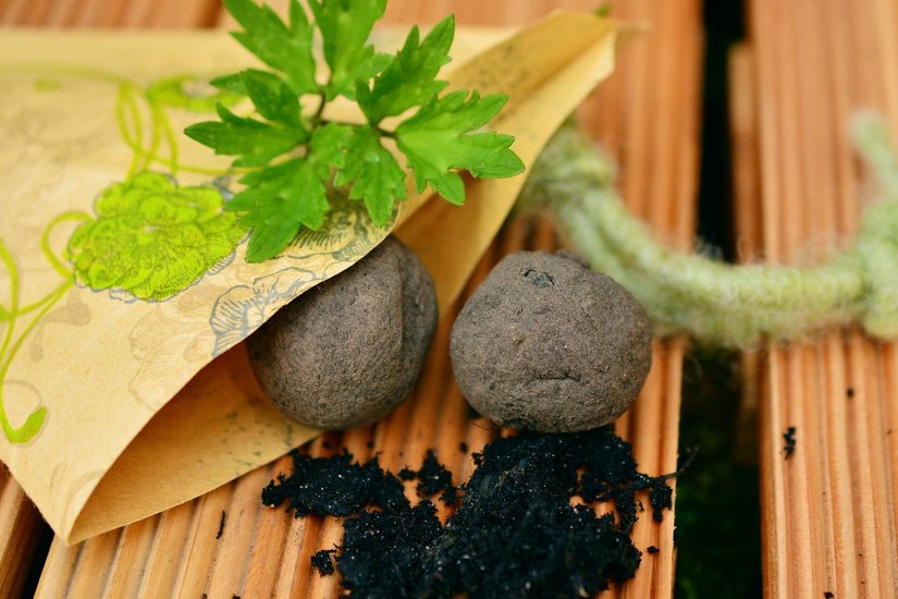 Samenbomben sind mit Saatgut gefüllte, kleine Erdkugeln. Foto: Pixabay/congerdesign