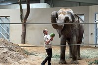 Eröffnung des Elefantenhauses im Cottbuser Tierpark.
