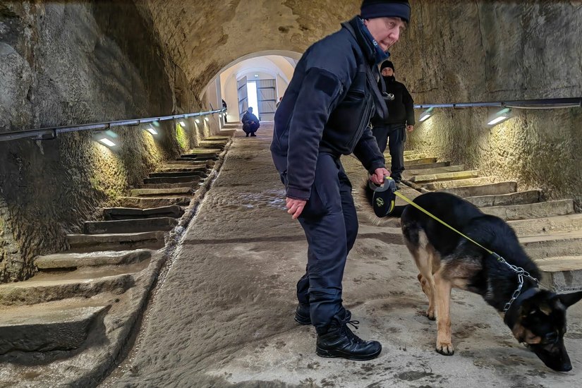 Polizeihauptmeisterin Simone Kirmes, die seit 32 Jahren bei der Polizei ist und mit ihrem zweijährigen Schäferhund Brisco routiniert Sprengstoff-Fährten im historischen Fasskeller sucht.
