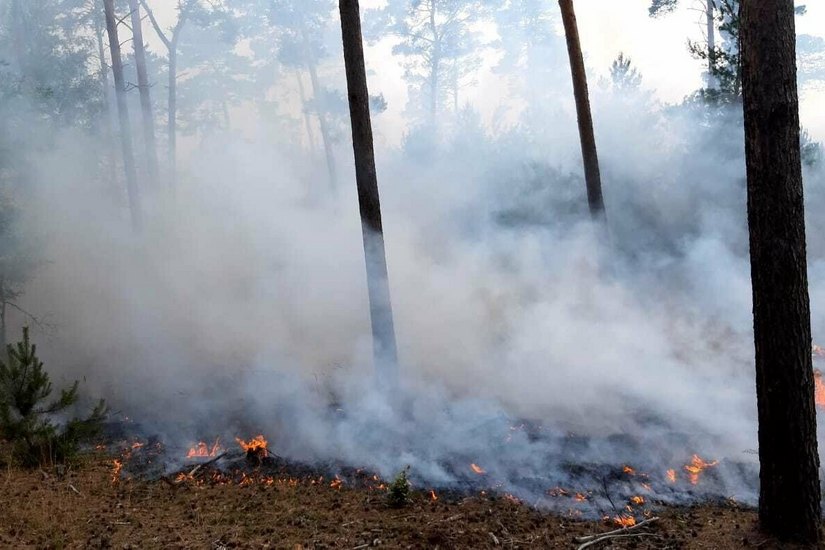 Das Feuer in der Lieberoser Heide hat sich bereits auf 66 Hektar ausgeweitet.
