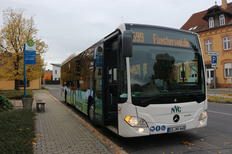 Bus der Linie 599 von Senftenberg nach Finsterwalde in Sallgast.  
 Foto: VerkehrsManagement Elbe-Elster GmbH