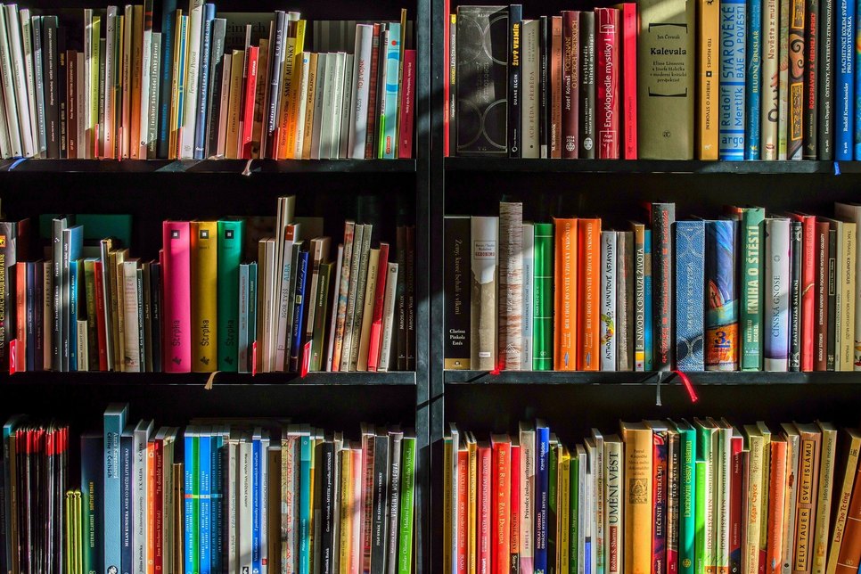 Buchläden zählen nun zu Versorgern des Grundbedarfs.  Foto: pixabay