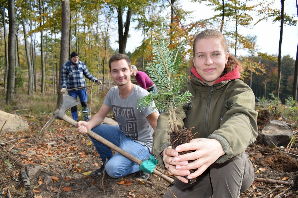 Vodafone-Mitarbeiter bei der Arbeit im Bautzener Stadtwald auf dem Czorneboh. Das Tagesziel: 1000 Baumsetzlinge zu pflanzen.