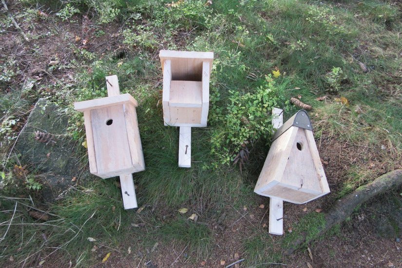 Um einheimischen Singvögeln Nistmöglichkeiten zu verschaffen, wurden unterschiedliche, artgerechte Nistkästen gebaut und im Fichtenbergwald-Quartier aufgehängt. Interessierte Besucher können sich die Bauanleitungen mitnehmen. Foto: PR