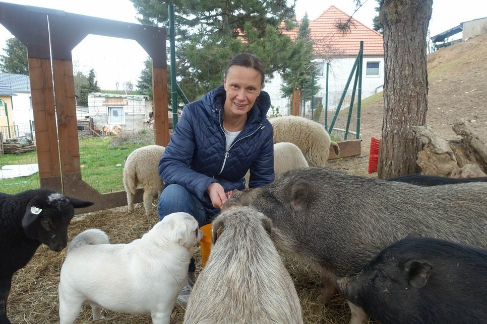 BUZ: Simone Staatz vom gleichnamigen Tierschutzhof in Blattersleben verteilt Futter. Foto: Schramm