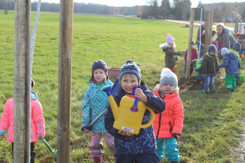 Im November 2019 pflanzten die Kinder aus der Wiednitzer Kita „Fuchs und Elster“ mit Motivation und sehr viel Herzblut Obstbäume. Jetzt wird ein Bäumchen vermisst. Fotos: Silke Richter