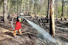 Kameraden der Feuerwehr löschen den Waldbrand am Steinberg.