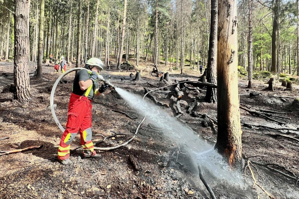 Kameraden der Feuerwehr löschen den Waldbrand am Steinberg.