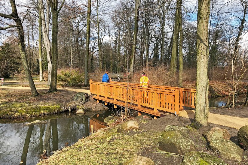 Die wiederhergestellte Lindenbrücke im Rehgarten des Branitzer Parks. Foto SFPM/Claudius Wecke