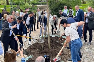 Alle Bürgermeister in Aktion beim Baumpflanzen. Riesaer OB Marco Müller mit dem 3. Spaten von links. | Foto: Stadt Riesa